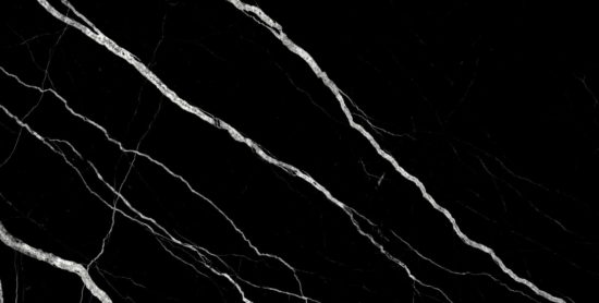 Treasure Midnight Nero 12x24 Polished | Alita Tile