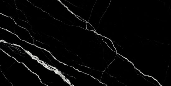 Treasure Midnight Nero 12x24 Polished | Alita Tile