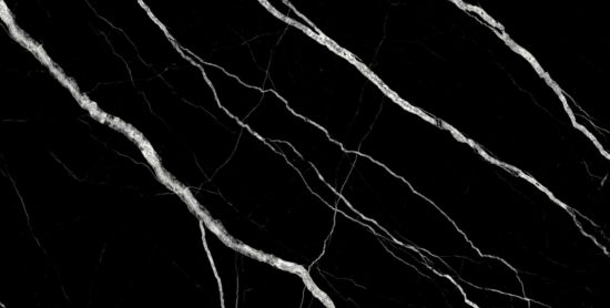 Treasure Midnight Nero 12x24 Polished | Alita Tile