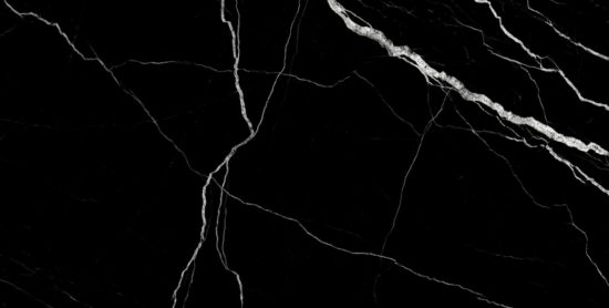 Treasure Midnight Nero 12x24 Polished | Alita Tile