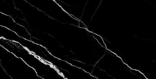 Treasure Midnight Nero 12x24 Polished | Alita Tile