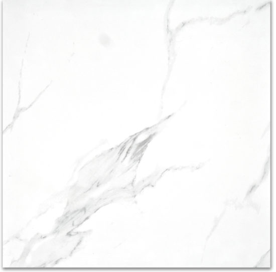 Treasure Statuario 24x24 Polished | Alita Tile