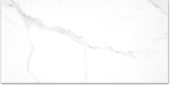 Treasure Statuario 24x48 Polished | Alita Tile