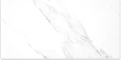Treasure Statuario 24x48 Polished | Alita Tile