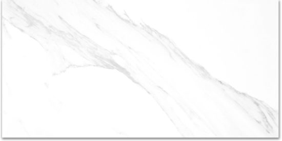 Treasure Statuario 24x48 Polished | Alita Tile