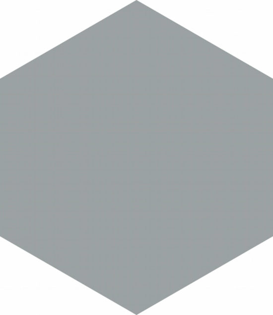 Vida 5.5X6.3” Grey Hexagon | Alita Tile