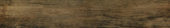 Vivid Vintage 6X36 | Alita Tile