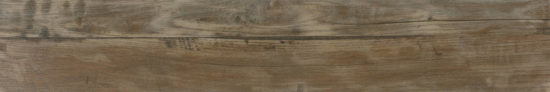 Warm 8X47 | Alita Tile