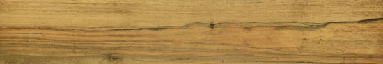 Warm Honey 6X36 | Alita Tile