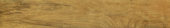 Warm Honey 6X36 | Alita Tile