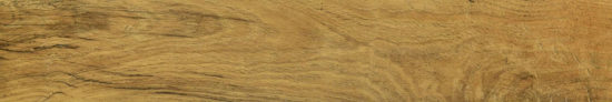 Warm Honey 6X36 | Alita Tile