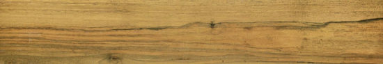 Warm Honey 6X36 | Alita Tile