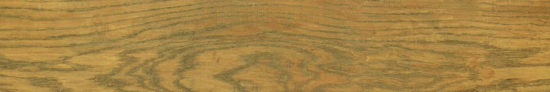 Warm Honey 6X36 | Alita Tile