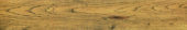 Warm Honey 6X36 | Alita Tile