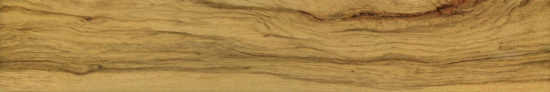 Warm Honey 6X36 | Alita Tile