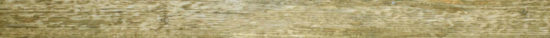 Western Alpine 3X33 Bullnose | Alita Tile
