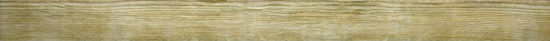Western Alpine 3X33 Bullnose | Alita Tile