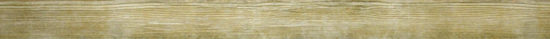 Western Alpine 3X33 Bullnose | Alita Tile