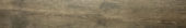 Western Juniper 8X47 | Alita Tile