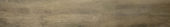 Western Juniper 8X47 | Alita Tile