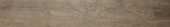 Western Juniper 8X47 | Alita Tile