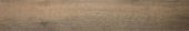 Western Juniper 8X47 | Alita Tile