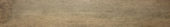 Western Juniper 8X47 | Alita Tile