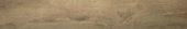 Western Juniper 8X47 | Alita Tile