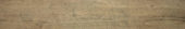 Western Juniper 8X47 | Alita Tile