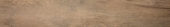 Western Juniper 8X47 | Alita Tile
