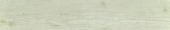 Whitebark Pine 5.5X33F | Alita Tile