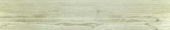 Whitebark Pine 5.5X33F | Alita Tile