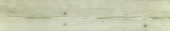 Whitebark Pine 5.5X33F | Alita Tile