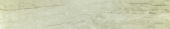 Whitebark Pine 5.5X33F | Alita Tile