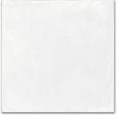 Whitehall Bianco 16x16 | Alita Tile