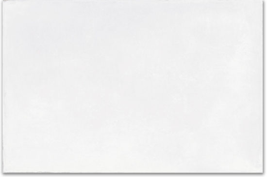 Whitehall Bianco 16x24 | Alita Tile