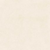 Serene Ivory 24x24 | Alita Tile