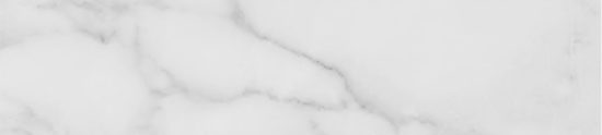 Obsession 2.5x10 Carrara | Alita Tile