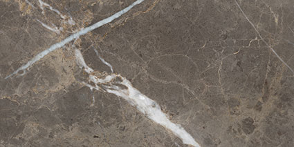Royal Stoneworks 12X24 Regal Brown Marble Honed | Alita Tile
