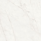 Royal Stoneworks 24X24 Cloudstone Whitehoned | Alita Tile
