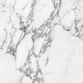 Royal Stoneworks 24X24 Italian Arabescato Honed | Alita Tile