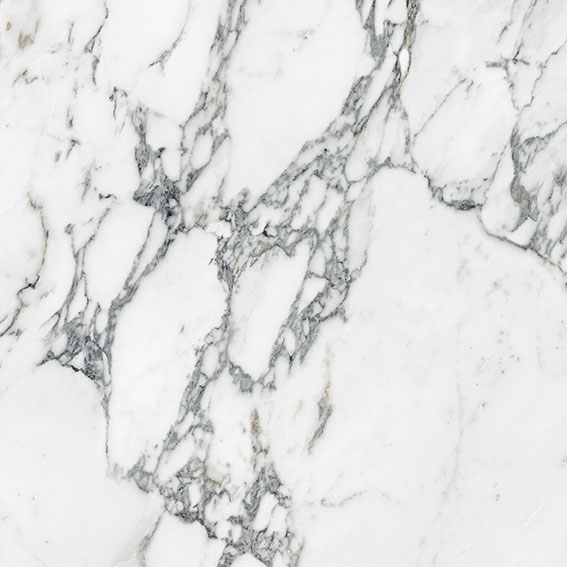Royal Stoneworks 24X24 Italian Arabescato Polished | Alita Tile