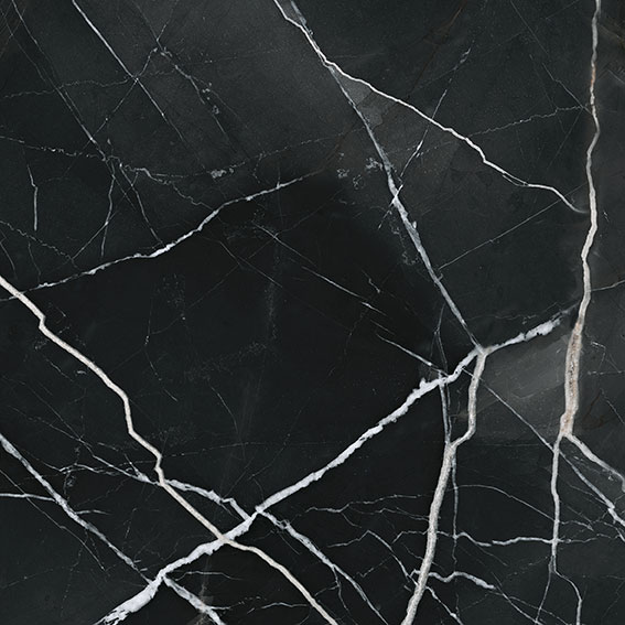 Royal Stoneworks 24X24 Regal Black Vein Polished | Alita Tile