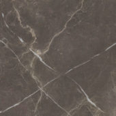 Royal Stoneworks 24X24 Regal Brown Marble Vintage | Alita Tile