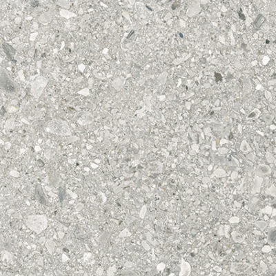 Royal Stoneworks 24X24 Regal Fossil Vein Honed