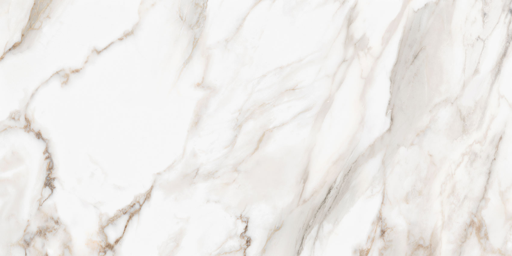 Royal Stoneworks 24X48 Calacatta Royale Polished | Alita Tile