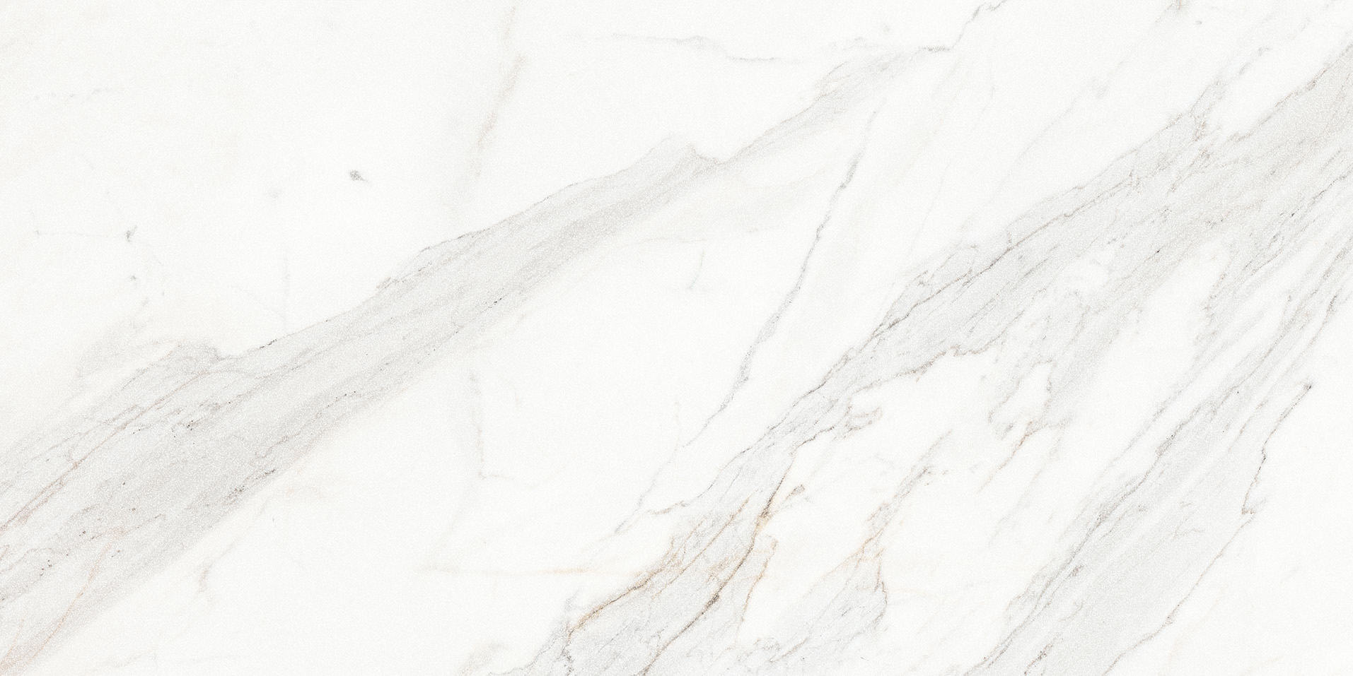 Royal Stoneworks 24X48 Crown Calacatta Polished | Alita Tile