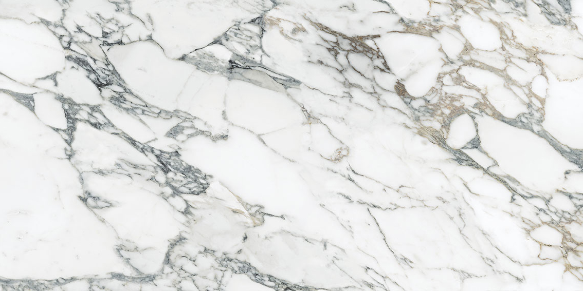 Royal Stoneworks 24X48 Italian Arabescato Polished | Alita Tile