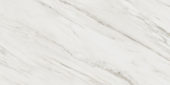 Royal Stoneworks 24X48 Italian Cream Vein Honed | Alita Tile