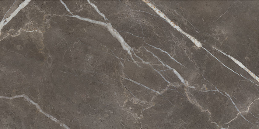 Royal Stoneworks 24X48 Regal Brown Marble Honed | Alita Tile
